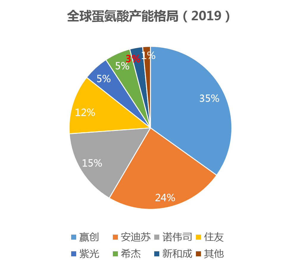 蛋氨酸市场最新动态解析，新和成公司最新消息聚焦报告