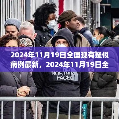 2024年11月19日全国现有疑似病例最新信息及获取指南——初学者与进阶用户必读