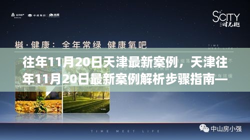 天津往年11月20日最新案例分析，步骤指南与解析，适用于初学者与进阶者参考