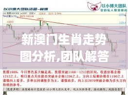 新澳门生肖走势图分析,团队解答解释落实_XRD8.70.51理财版