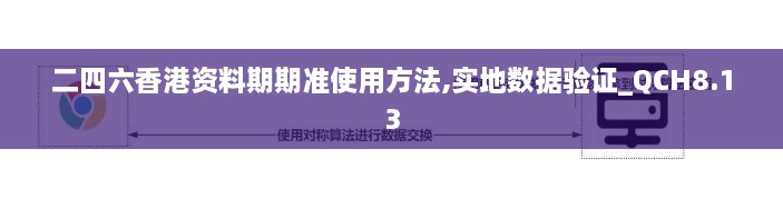 二四六香港资料期期准使用方法,实地数据验证_QCH8.13