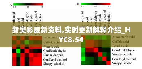 新奥彩最新资料,实时更新解释介绍_HYC8.54