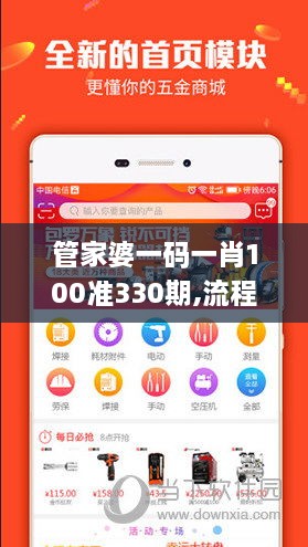 管家婆一码一肖100准330期,流程解答解释落实_PAI3.39