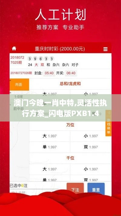 澳门今晚一肖中特,灵活性执行方案_闪电版PXB1.4