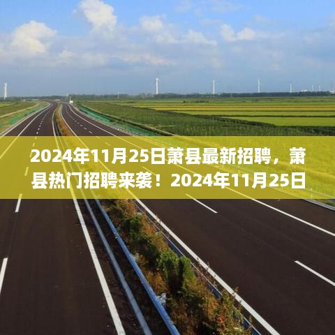 萧县最新招聘速递，2024年11月25日岗位更新与热门工作推荐