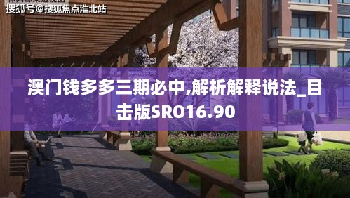 澳门钱多多三期必中,解析解释说法_目击版SRO16.90