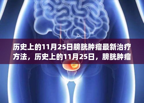 历史上的11月25日，膀胱肿瘤最新治疗方法的详细步骤指南与突破进展研究