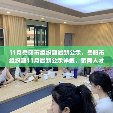 岳阳市组织部11月最新公示，人才选拔与管理的动态更新聚焦详解