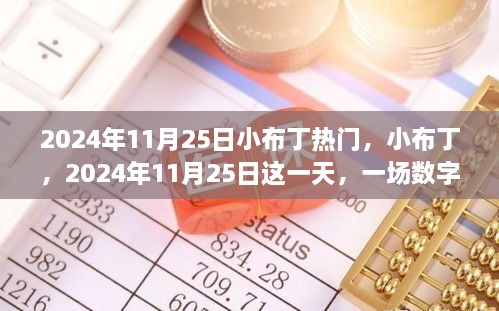 小布丁风暴来袭，数字世界的狂欢日 2024年11月25日