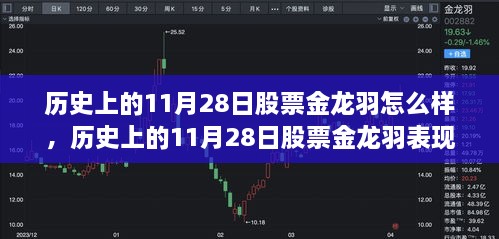 深度解析与观点阐述，历史上的11月28日股票金龙羽的表现与走向探讨