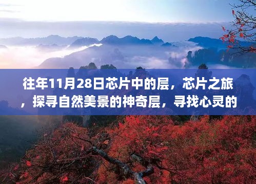 探寻芯片世界与自然美景的神奇层，心灵宁静之旅启程