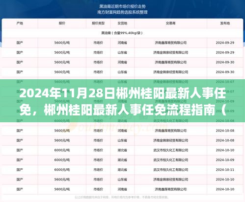 郴州桂阳人事任免最新动态，2024年11月人事调整及流程指南