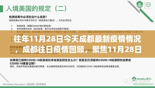 成都11月28日疫情最新动态，回顾与分析当日疫情情况及影响