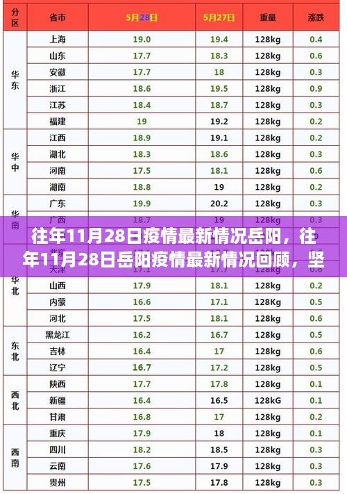 坚定信心，共克时艰，岳阳历年11月28日疫情最新情况回顾与展望