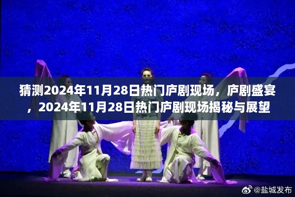 揭秘与展望，庐剧盛宴——2024年庐剧热门现场回顾与展望