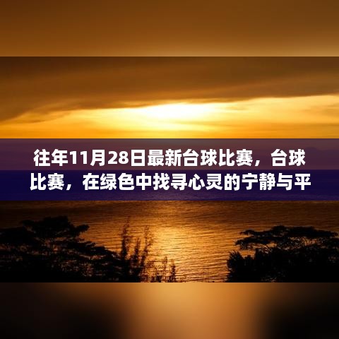 台球盛宴，绿色赛场探寻心灵宁静与平和的自然美景之旅