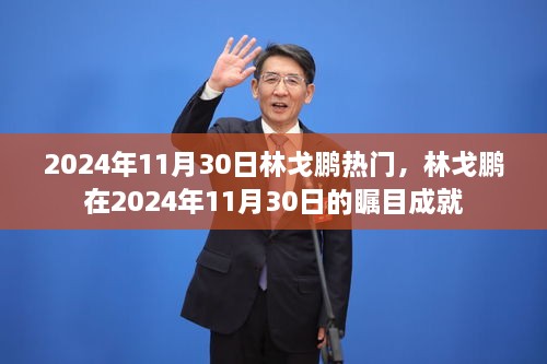 林戈鹏在2024年11月30日的瞩目成就与热门事件回顾