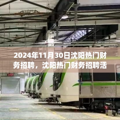 2024年11月30日沈阳热门财务招聘活动深度解析