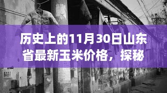 山东省玉米价格揭秘，历史记忆碎片之旅，探寻小巷深处的宝藏玉米价格