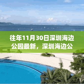 深圳海边公园十一月三十日的记忆与变迁纪实赏析