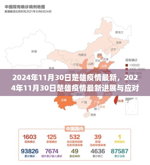 2024年11月30日楚雄疫情最新进展及应对策略分析