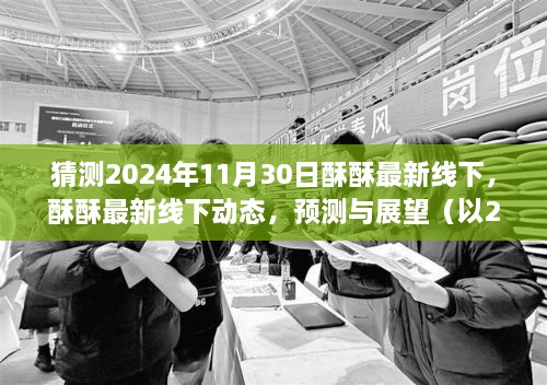 2024年11月30日酥酥最新线下动态预测与展望