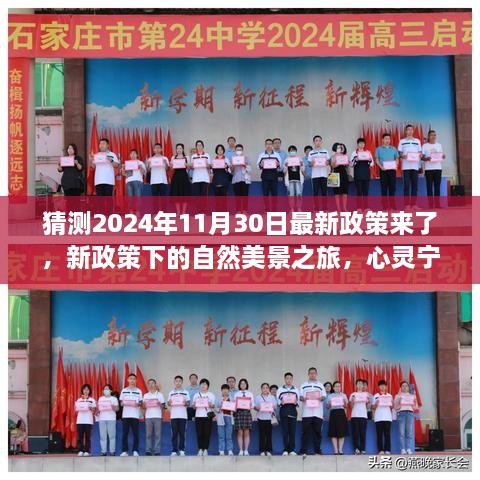 新政策下的自然美景之旅，启程探寻心灵宁静之旅（预测2024年11月）