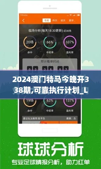 2024澳门特马今晚开338期,可靠执行计划_Lite48.444-9