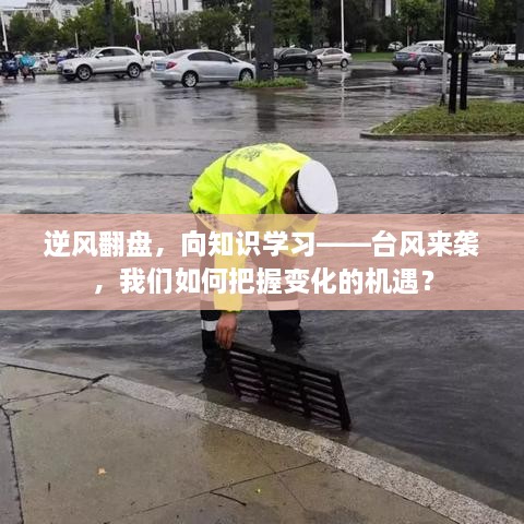 台风来袭之际，逆风翻盘，把握变化机遇，向知识学习之道