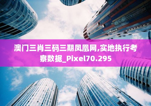 澳门三肖三码三期凤凰网,实地执行考察数据_Pixel70.295