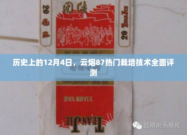 云烟87热门栽培技术全面评测，历史视角下的12月4日回顾