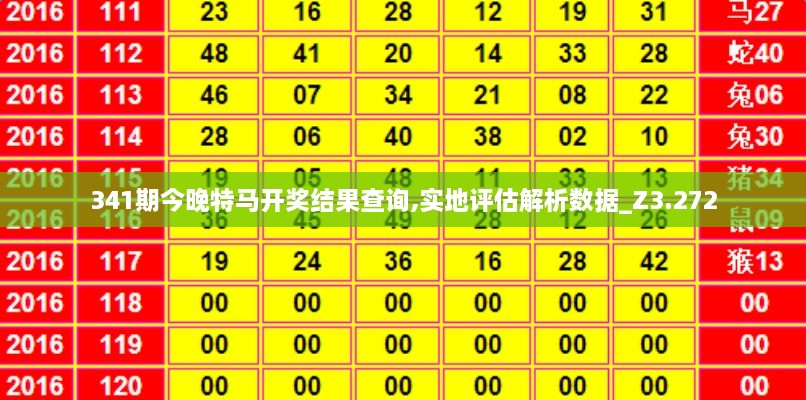 341期今晚特马开奖结果查询,实地评估解析数据_Z3.272