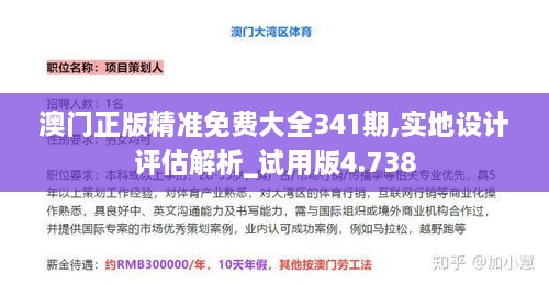 澳门正版精准免费大全341期,实地设计评估解析_试用版4.738