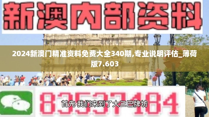 2024新澳门精准资料免费大全340期,专业说明评估_薄荷版7.603