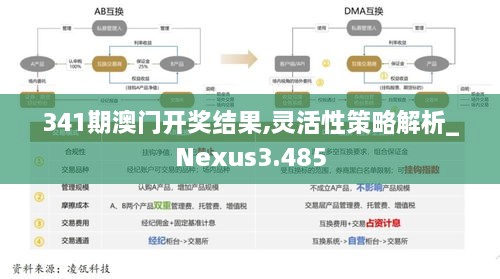 341期澳门开奖结果,灵活性策略解析_Nexus3.485