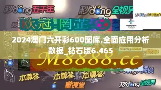 2024澳门六开彩600图库,全面应用分析数据_钻石版6.465