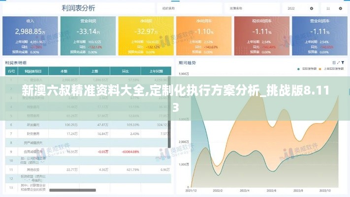 新澳六叔精准资料大全,定制化执行方案分析_挑战版8.113