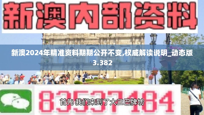 新澳2024年精准资料期期公开不变,权威解读说明_动态版3.382