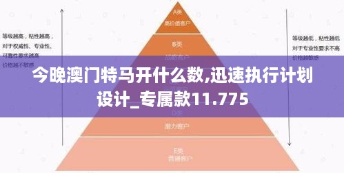 今晚澳门特马开什么数,迅速执行计划设计_专属款11.775