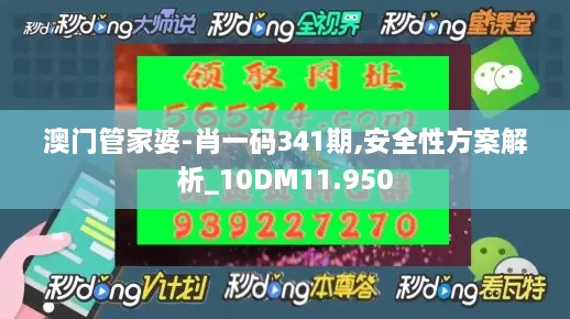 澳门管家婆-肖一码341期,安全性方案解析_10DM11.950