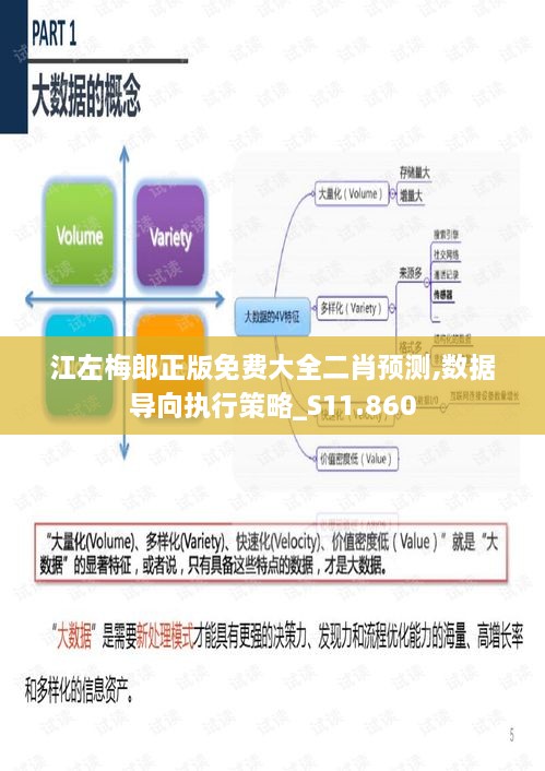 江左梅郎正版免费大全二肖预测,数据导向执行策略_S11.860