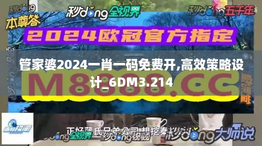 管家婆2024一肖一码免费开,高效策略设计_6DM3.214