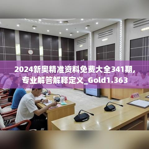 2024新奥精准资料免费大全341期,专业解答解释定义_Gold1.363