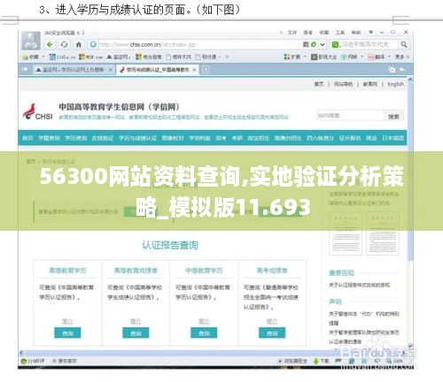 56300网站资料查询,实地验证分析策略_模拟版11.693