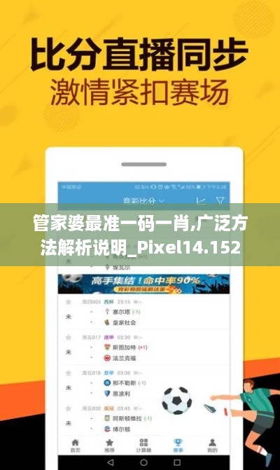 管家婆最准一码一肖,广泛方法解析说明_Pixel14.152