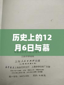 历史上的12月6日与慕浅霍靳西小说，深度解读与观点碰撞之夜