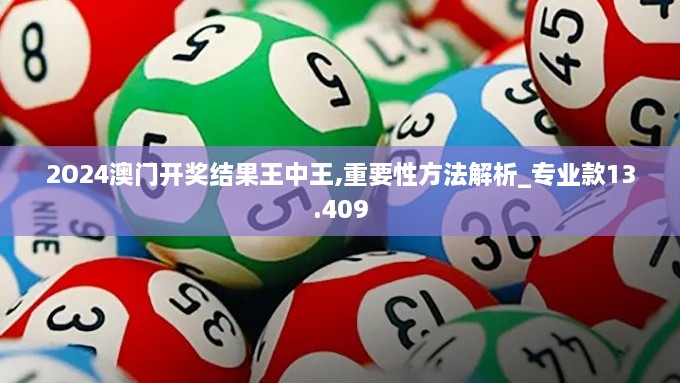 2O24澳门开奖结果王中王,重要性方法解析_专业款13.409