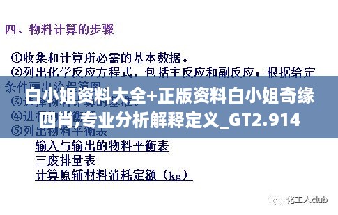 白小姐资料大全+正版资料白小姐奇缘四肖,专业分析解释定义_GT2.914