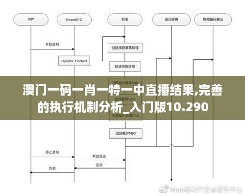 澳门一码一肖一特一中直播结果,完善的执行机制分析_入门版10.290