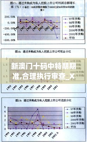 新澳门十码中特期期准,合理执行审查_XP7.903